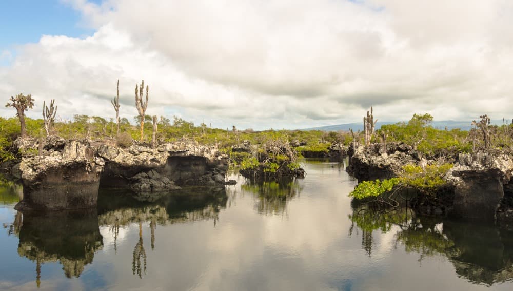 Evasión libertad en Galápagos 8 días