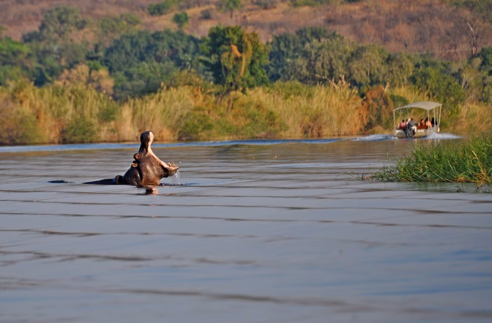 Loango, el reino de la vida salvaje