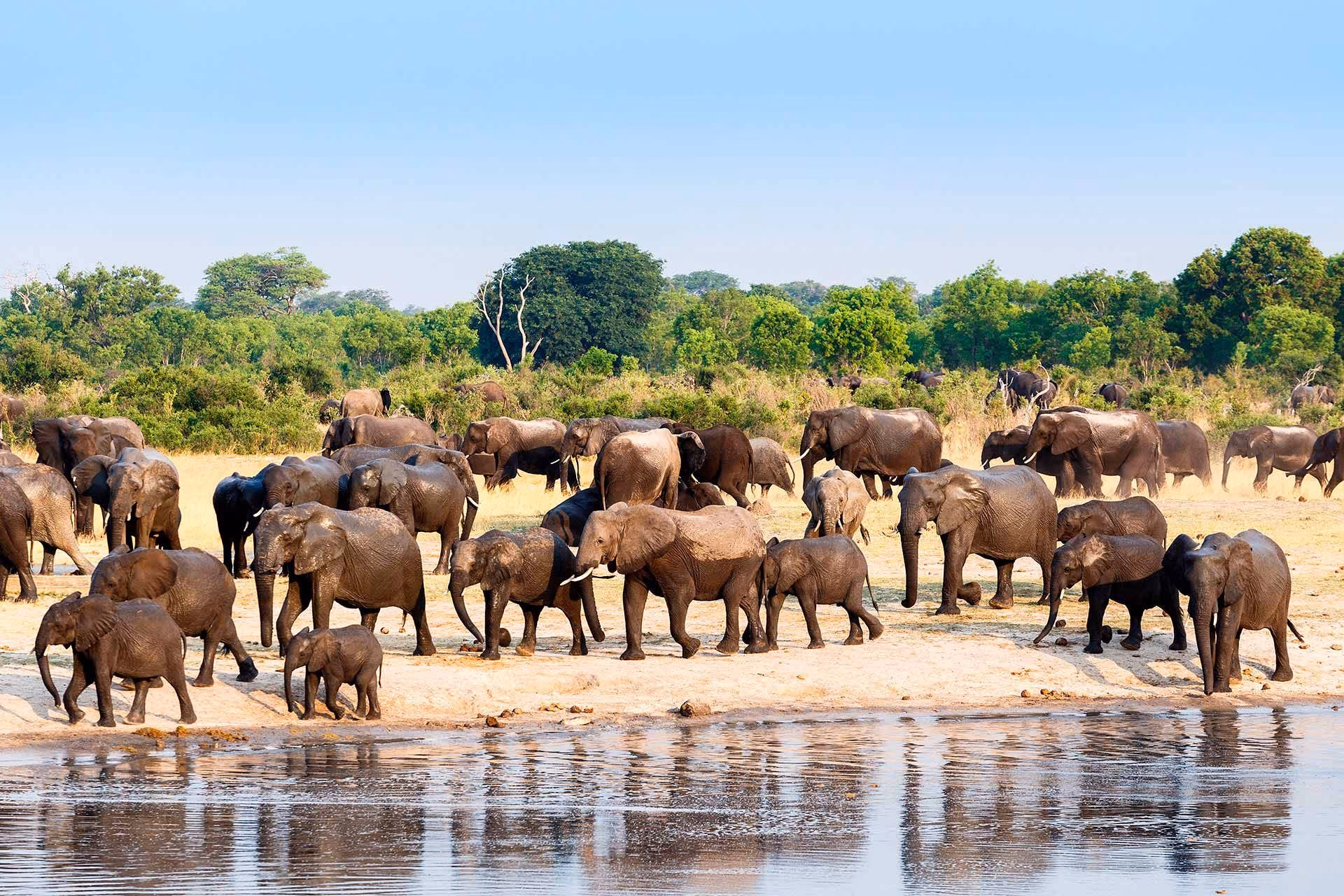 Victoria Falls banda de Caprivi delta del Okavango Maun delta Moremi parque Chobe Kwange y cataratas