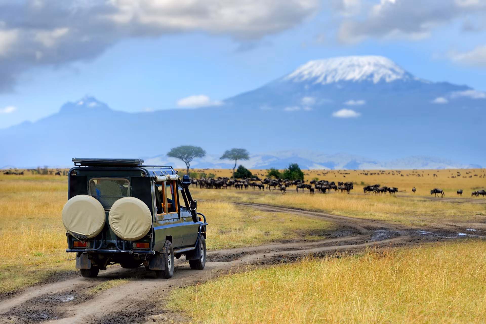 Safaris en Lodge