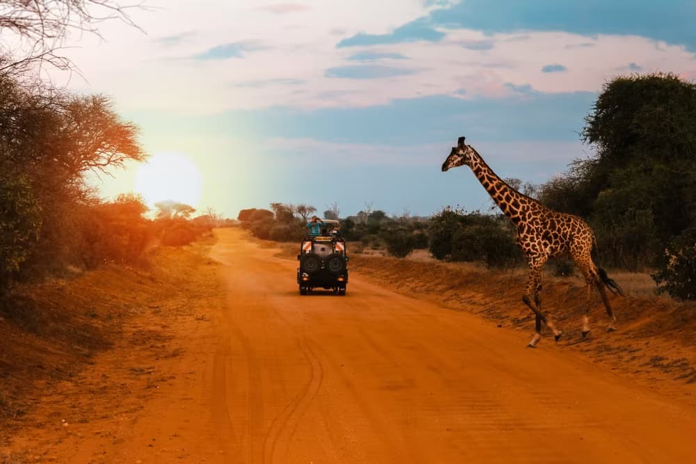 Safari camping en familia