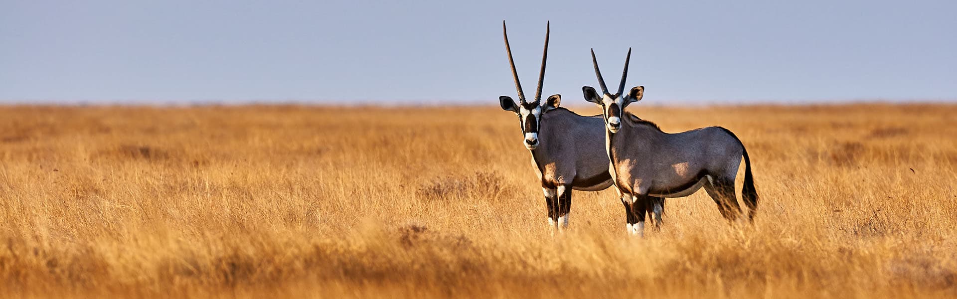 Namibia