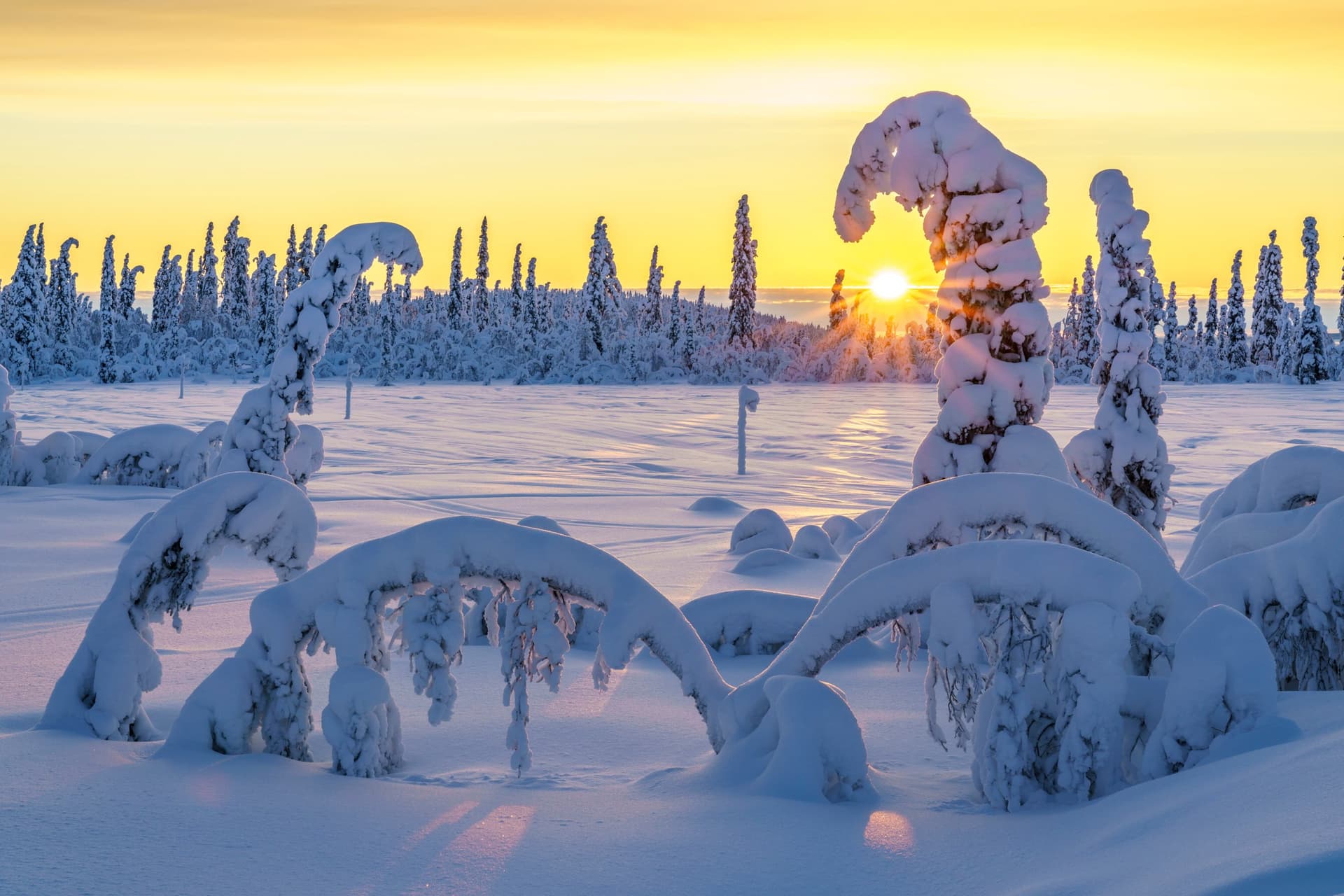 Suecia