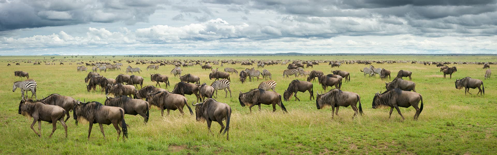 Tanzania