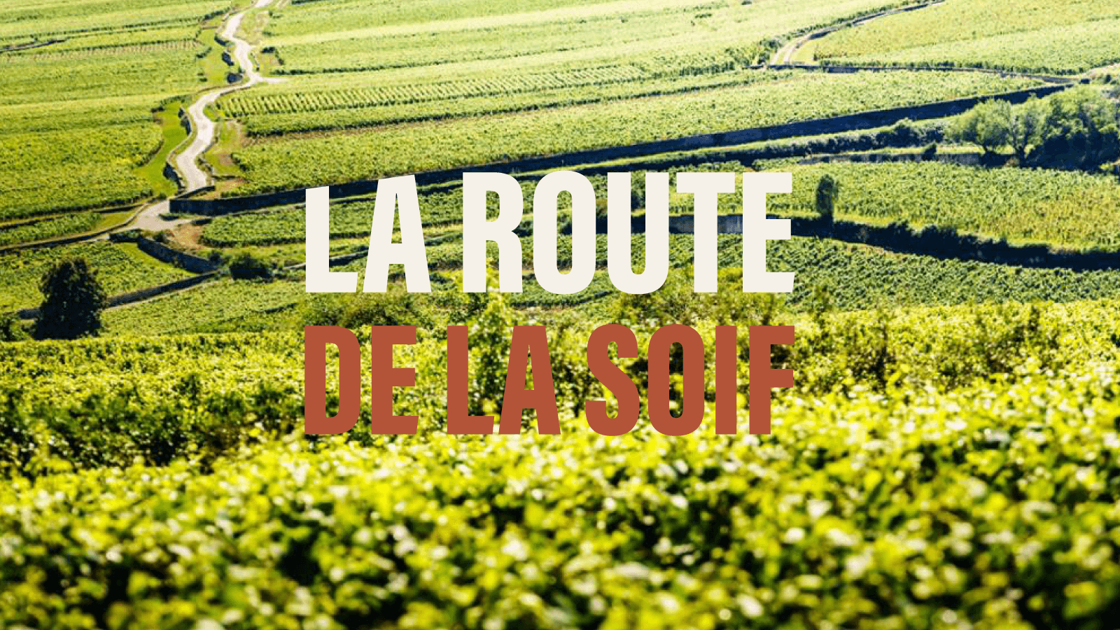 Beaune, senderismo y vinos de Borgoña