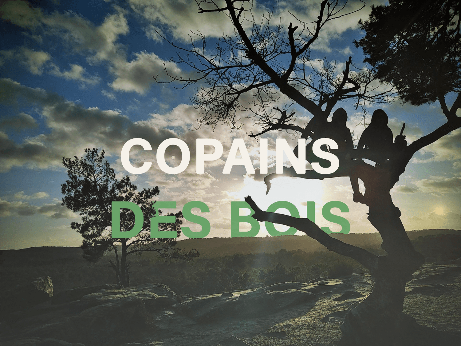 Fin de semana multiactividad en familia en el Bosque de Fontainebleau