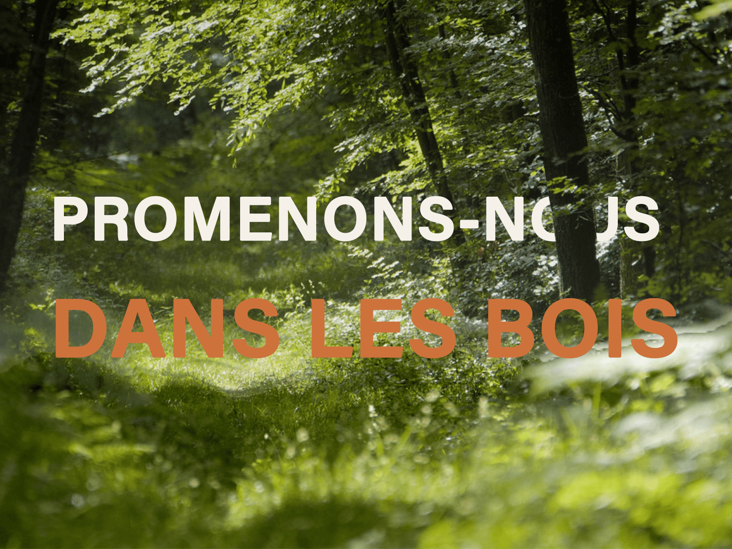 Fin de semana senderismo y bivouac en Bosque de Fontainebleau