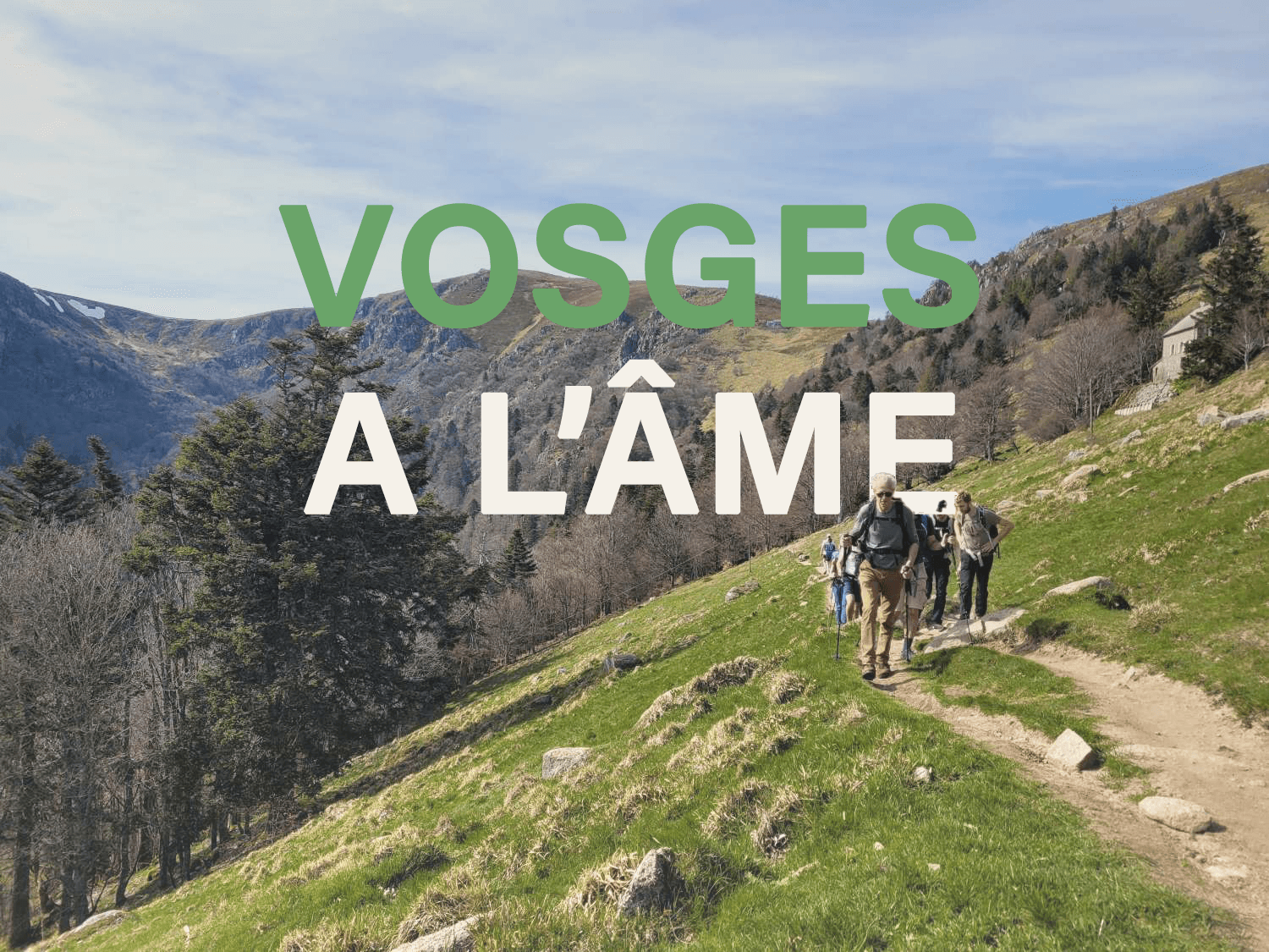 En las crestas de los Vosgos, senderismo, refugio y buena comida