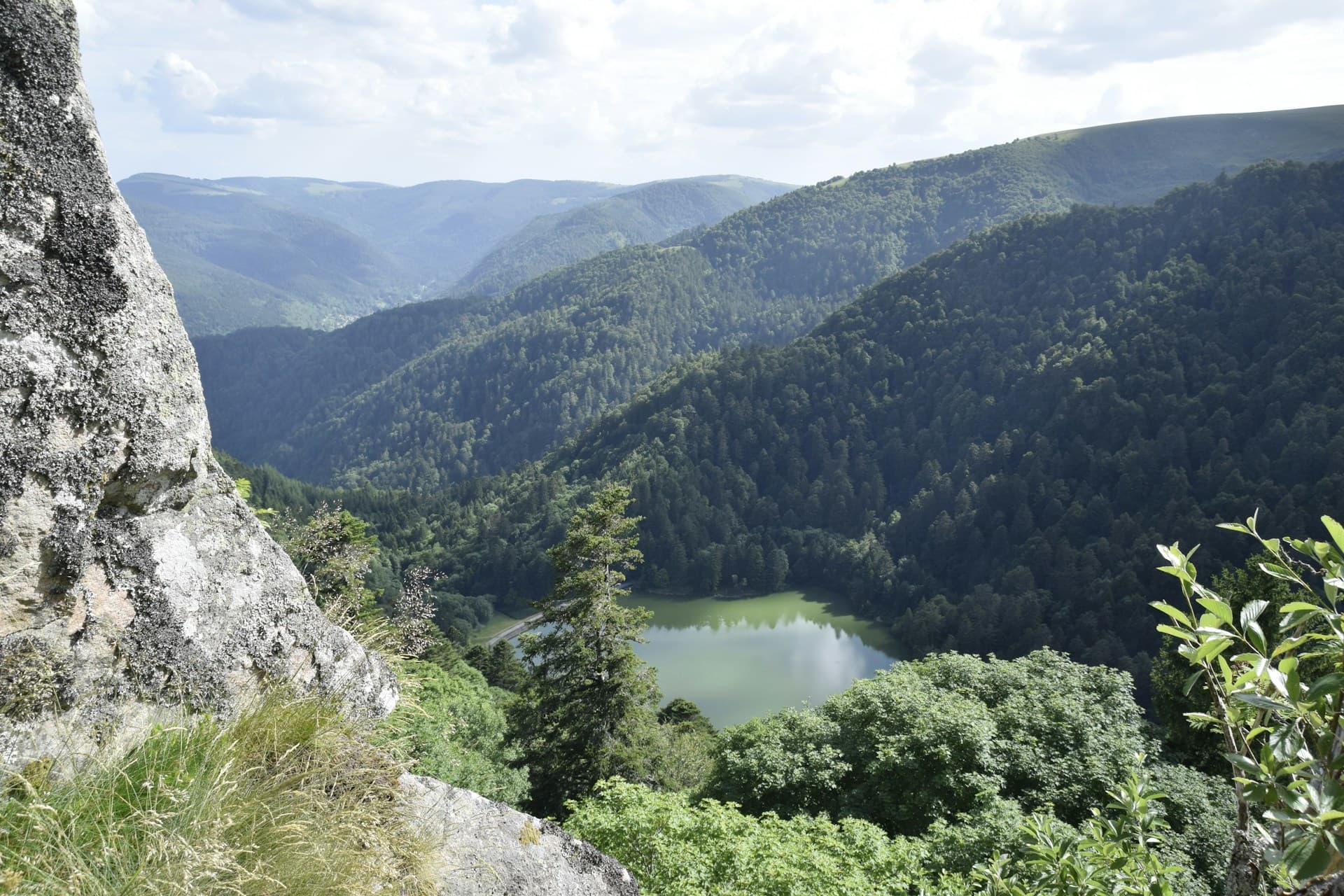 Vosgos
