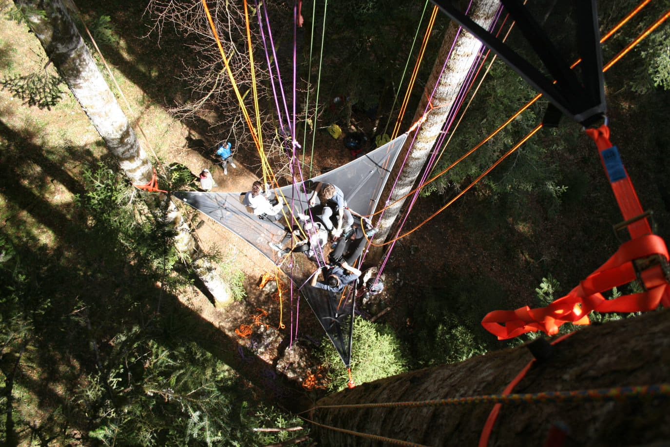 Iniciación a la escalada en árboles
