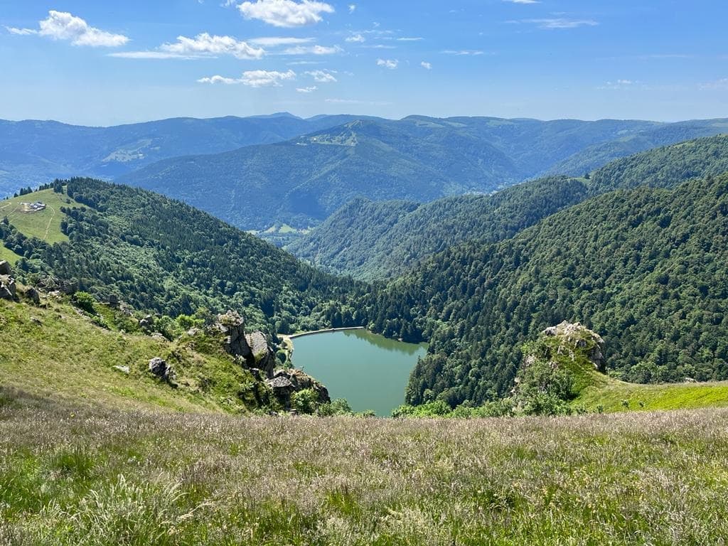 Última caminata hacia el valle y regreso a Munster o Metzeral