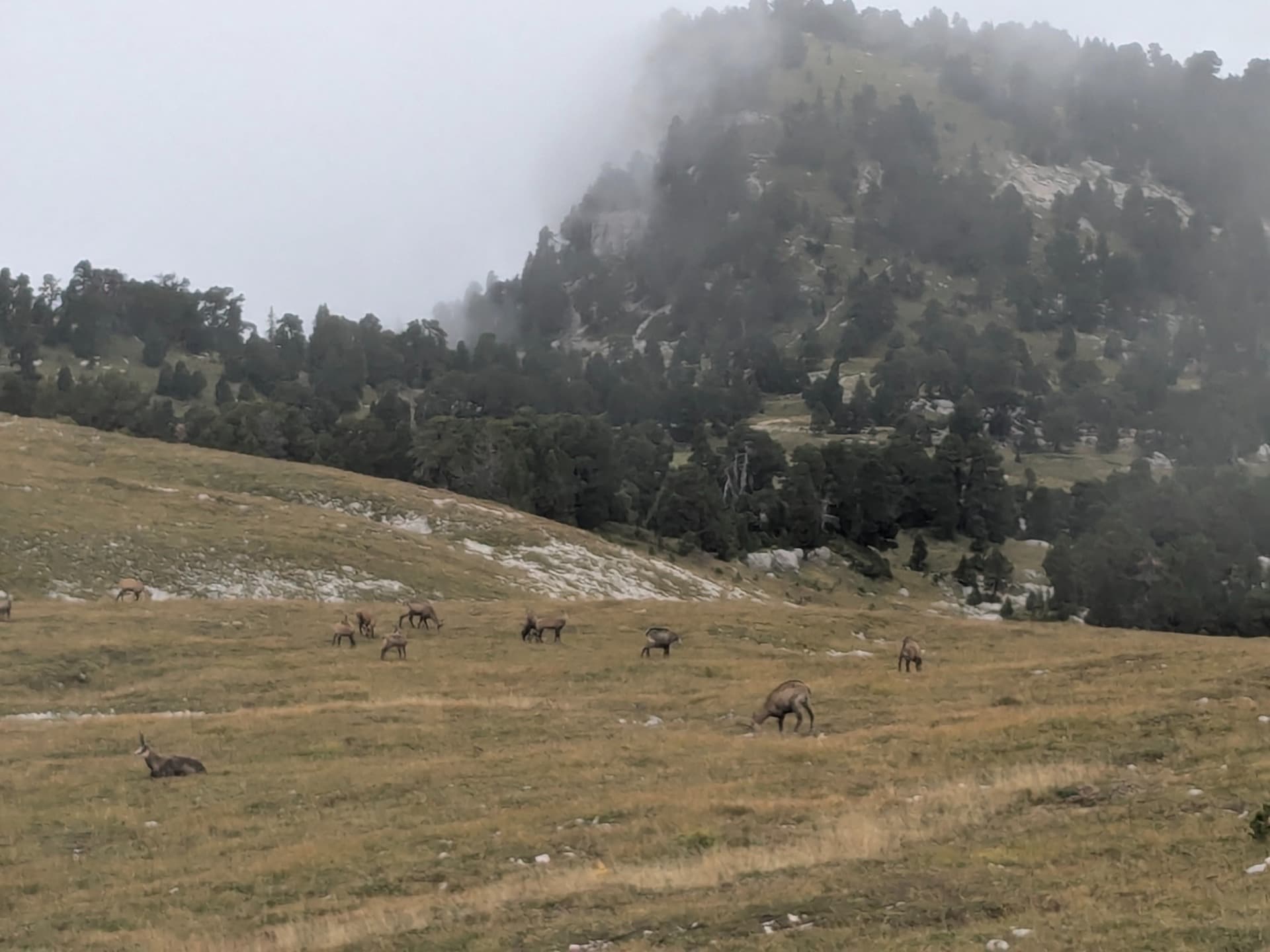 En las crestas de la Chartreuse
