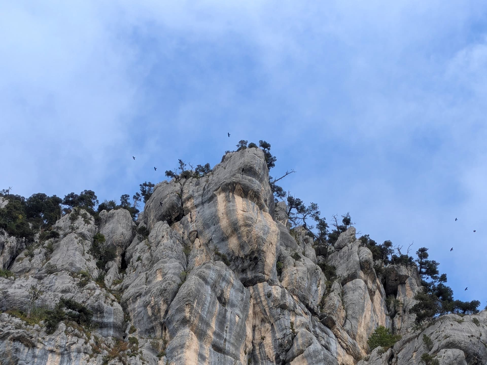 Dejemos la ciudad por las Alturas de Chartreuse
