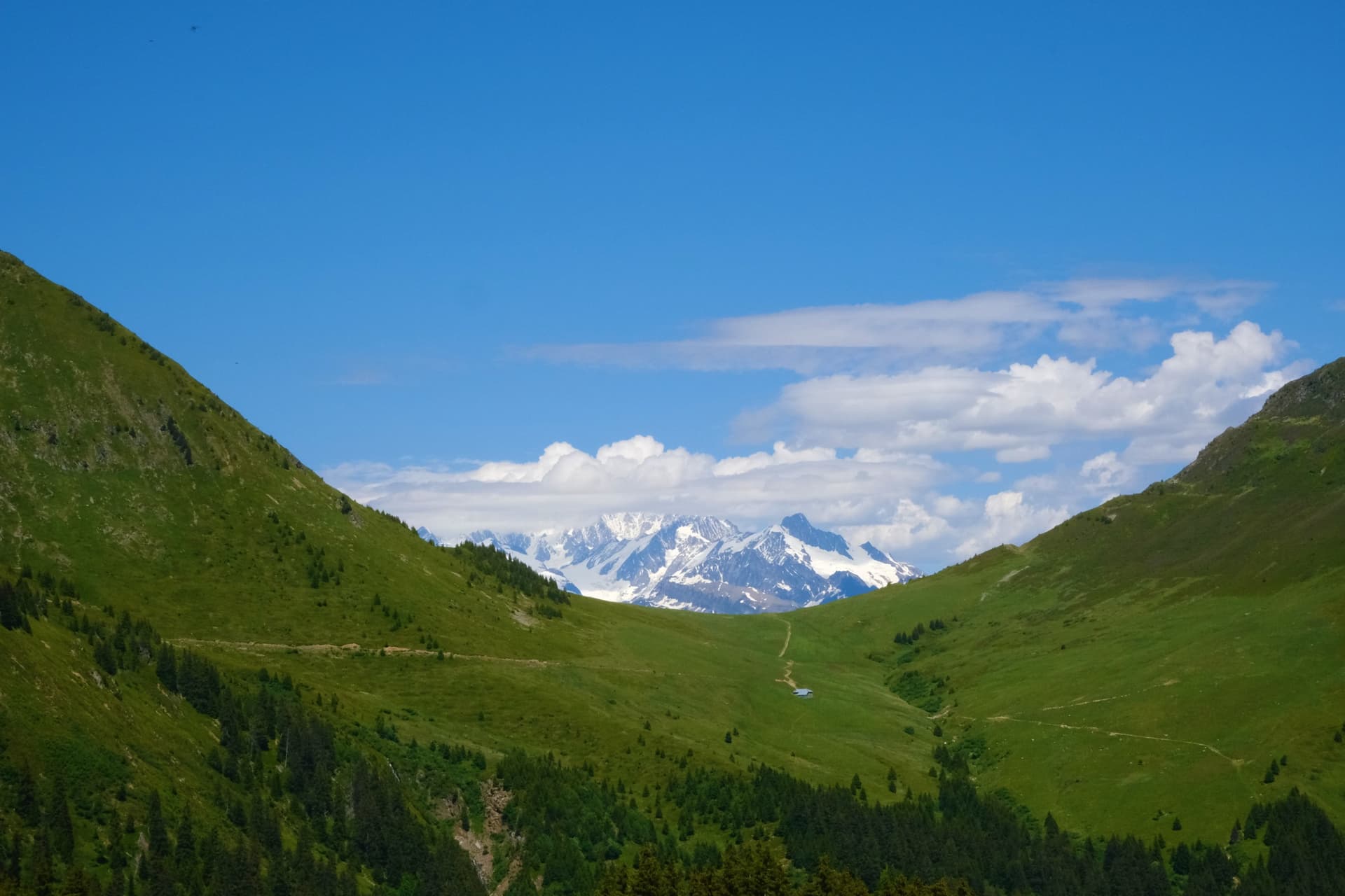 Lagos de altura y pastos alpinos