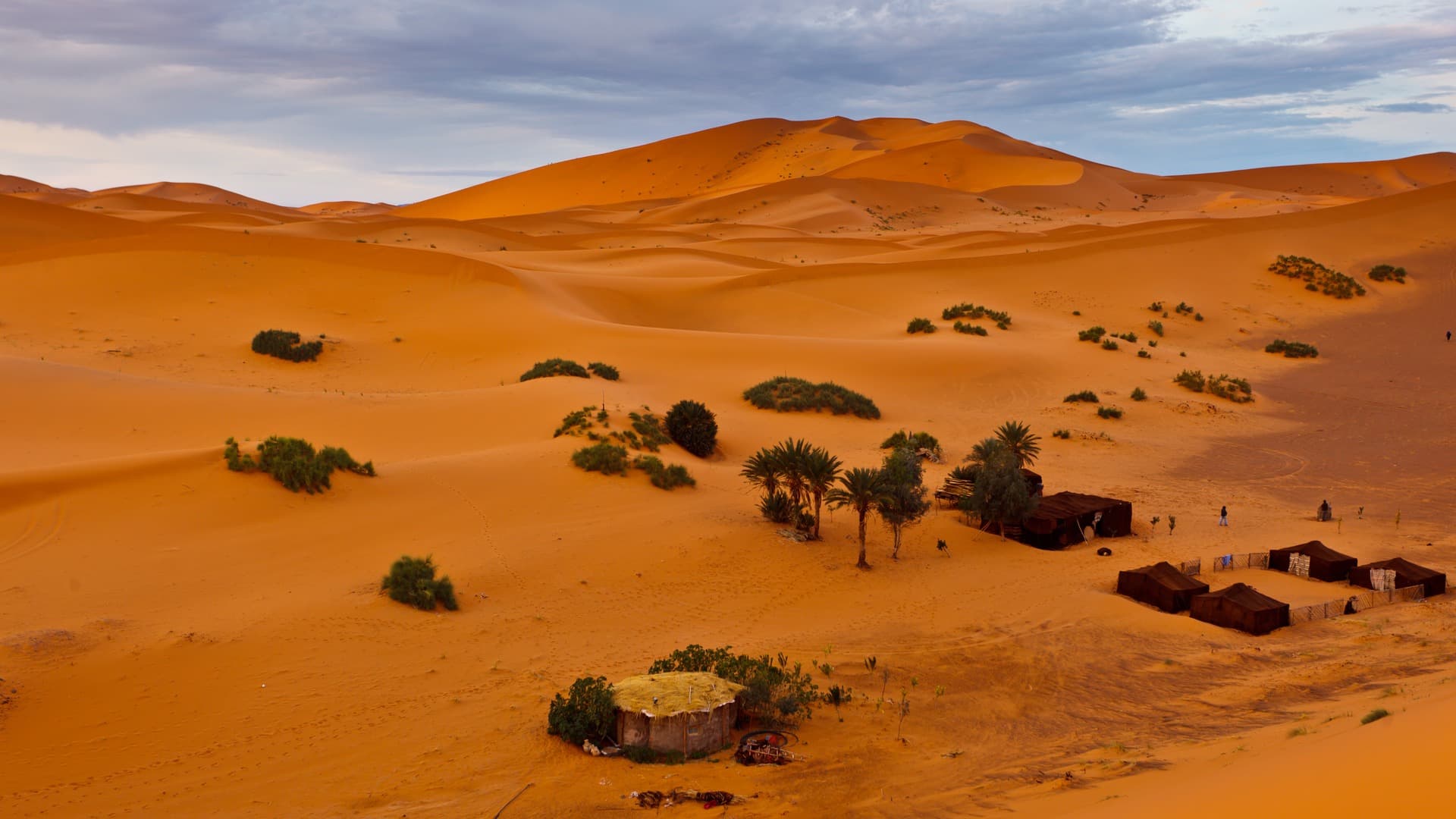 Séjour bédouin dans le Sahara