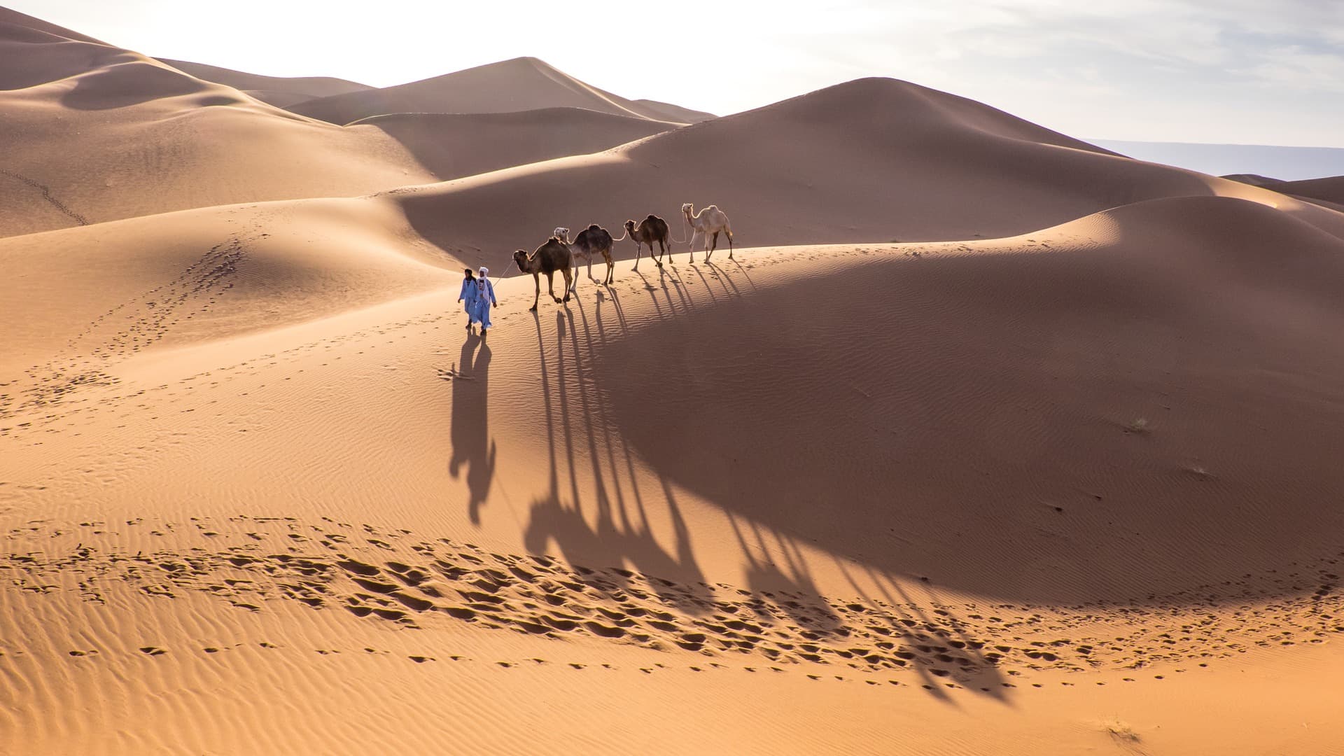 Desafío aventura, el llamado del desierto