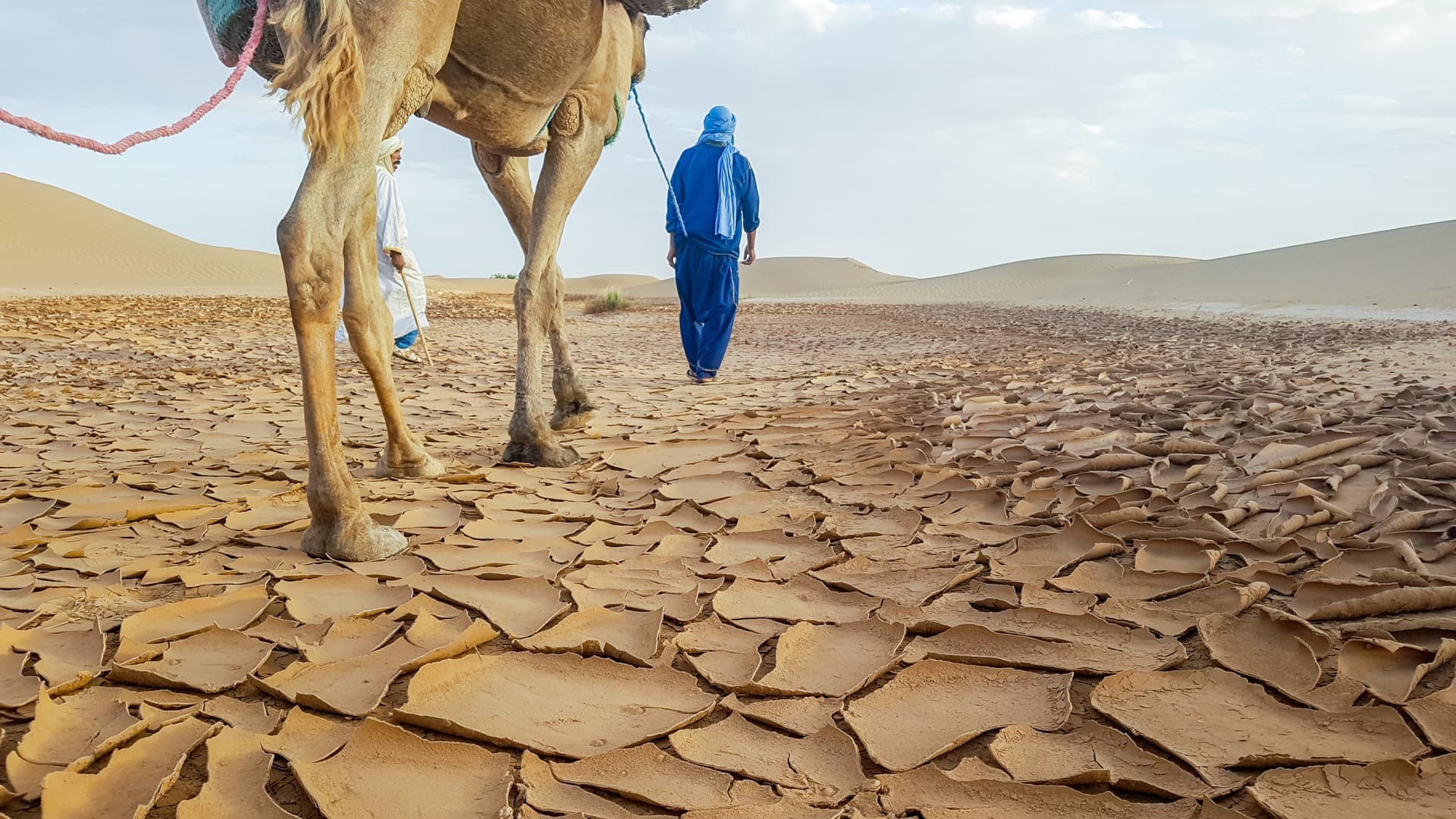 Masajes del desierto
