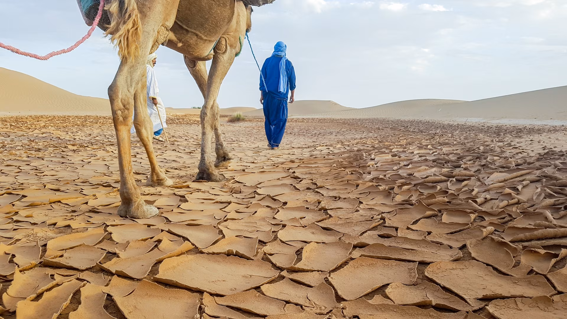 Masajes del desierto