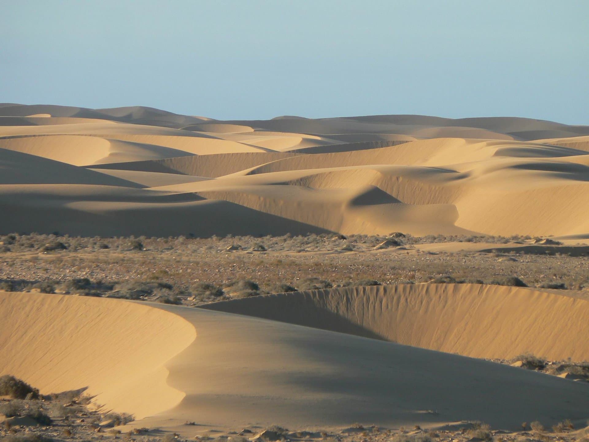 Repartir du bon pied dans le Sahara
