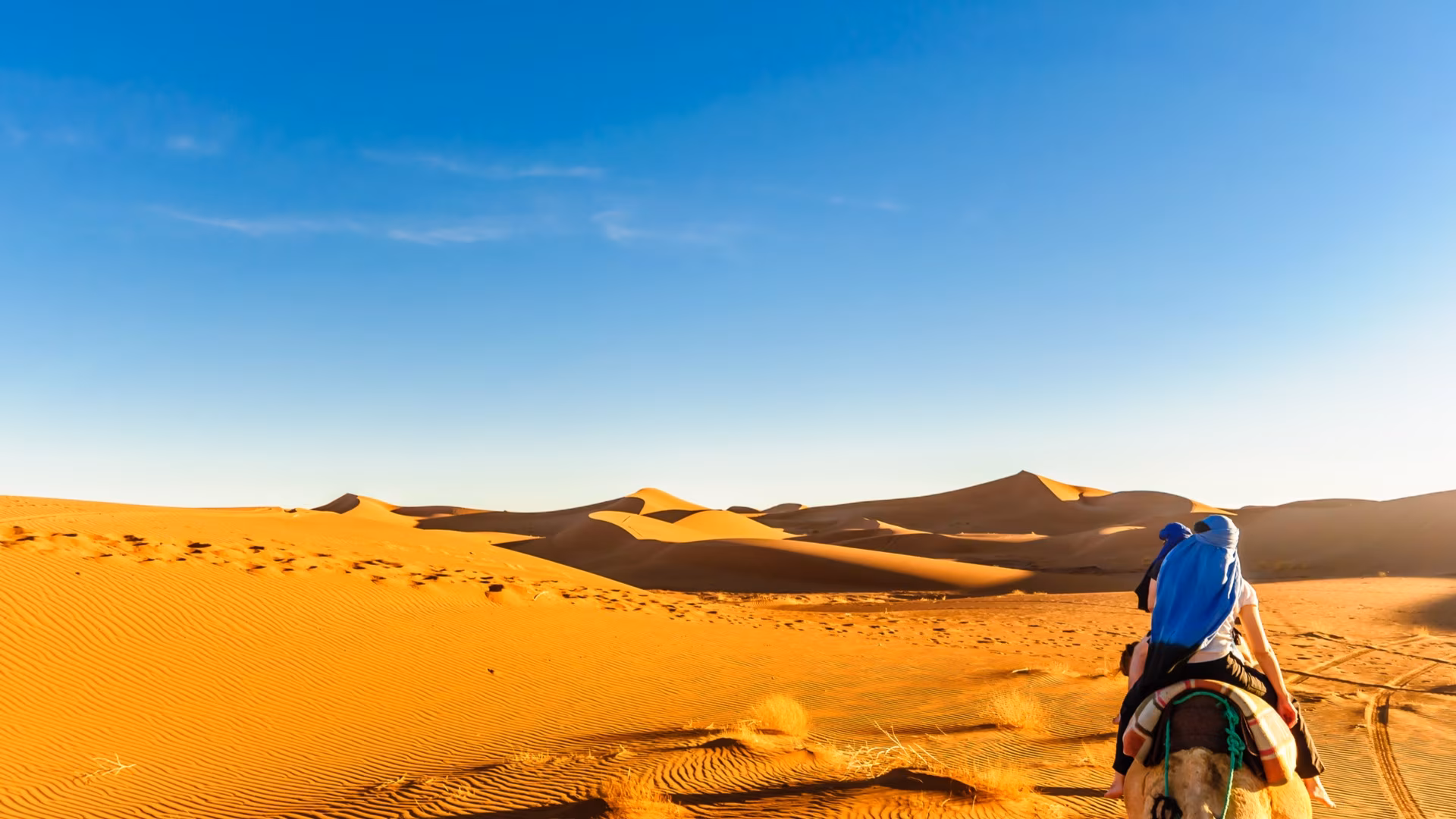 Nochevieja en la naturaleza en las profundidades del desierto