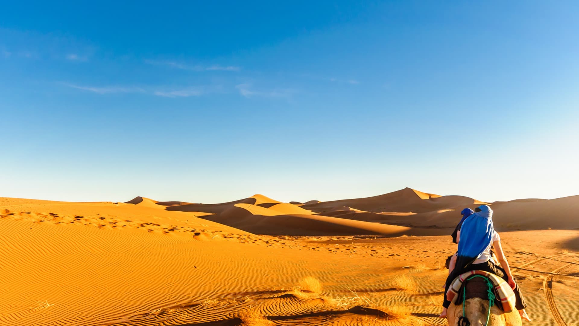 Nochevieja en la naturaleza en las profundidades del desierto