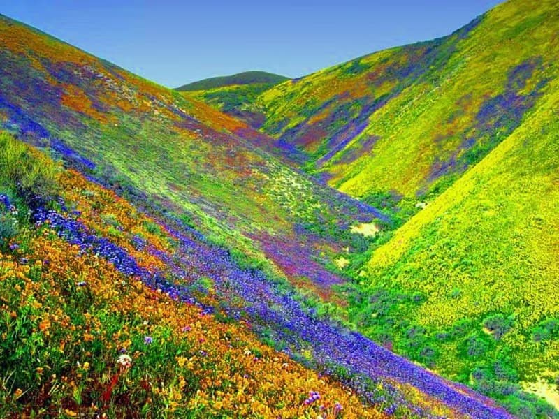 Le trek de la vallée des fleurs