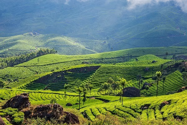 Aventuras en Kerala