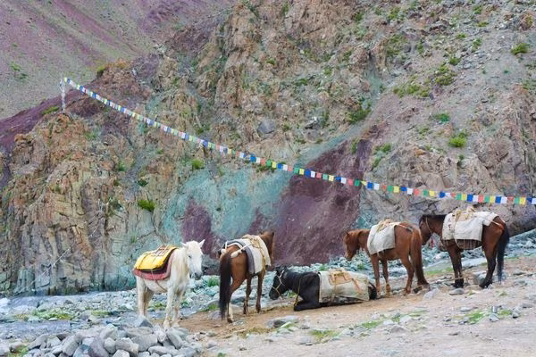 Stok Kangri con el valle de Markha
