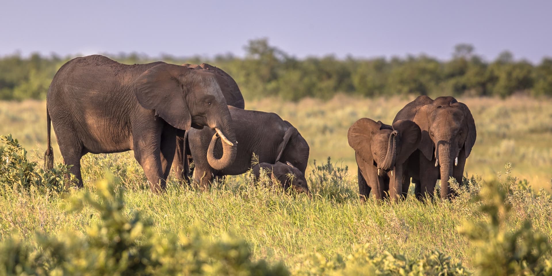 Del Kruger a la Elephant Coast pasando por Swaziland