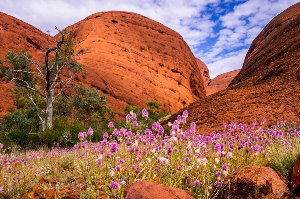 Colores de Australie
