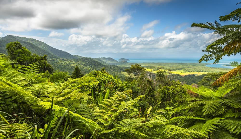 Parcs nationaux, nature et plages de rêves