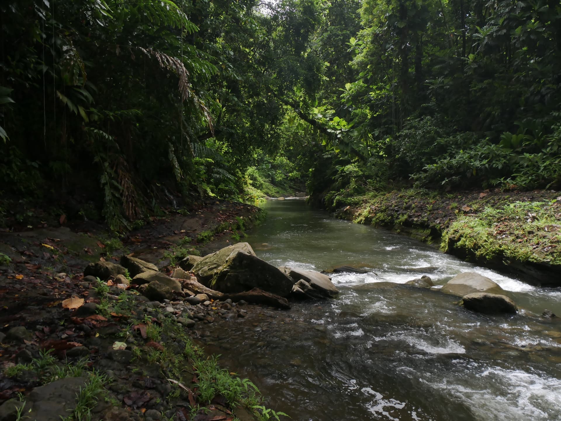 Jour 1