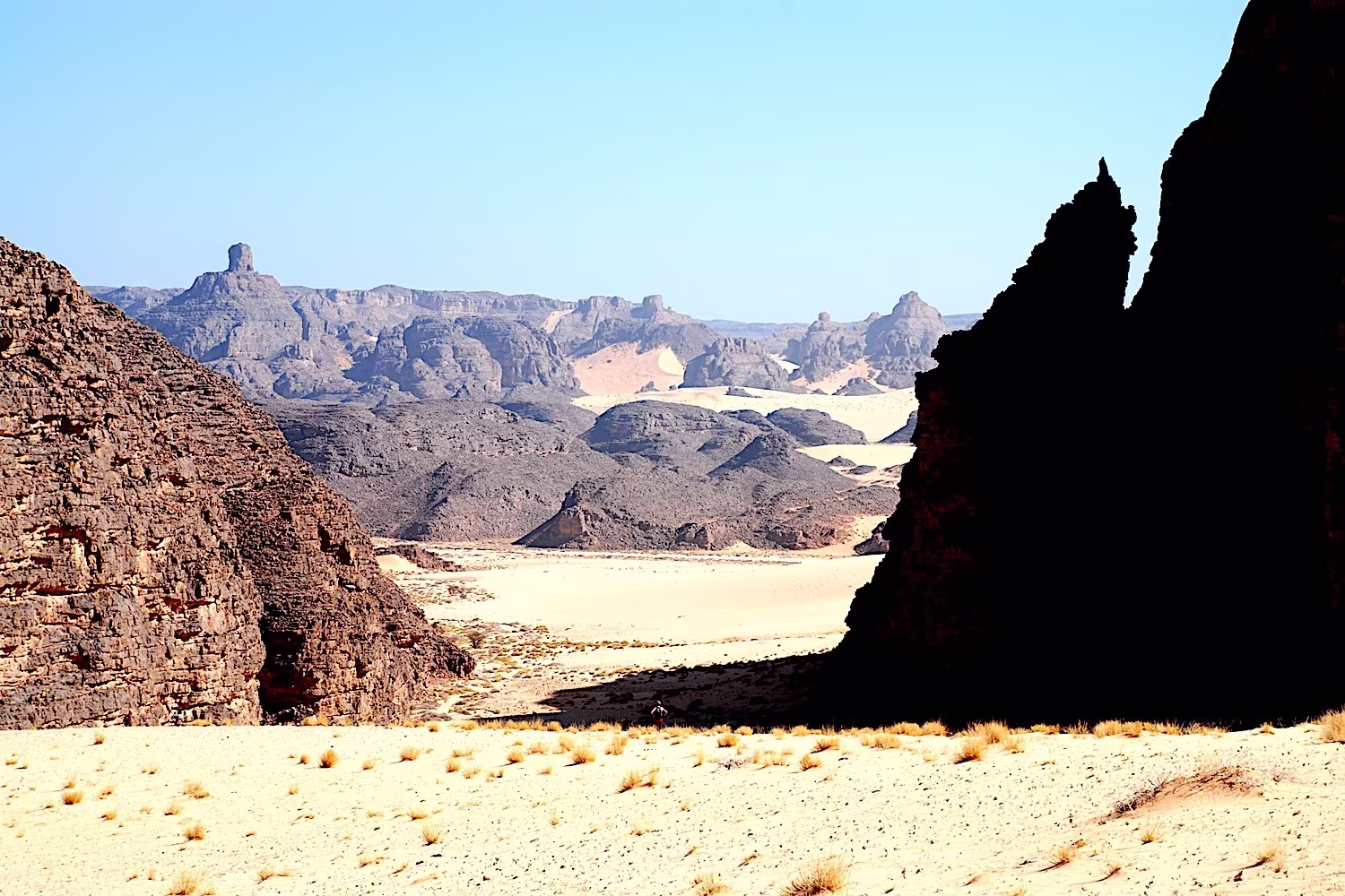 Dunas y volcanes de Ajjer - Del erg Tihodaïne al Adrar N'Ajjer