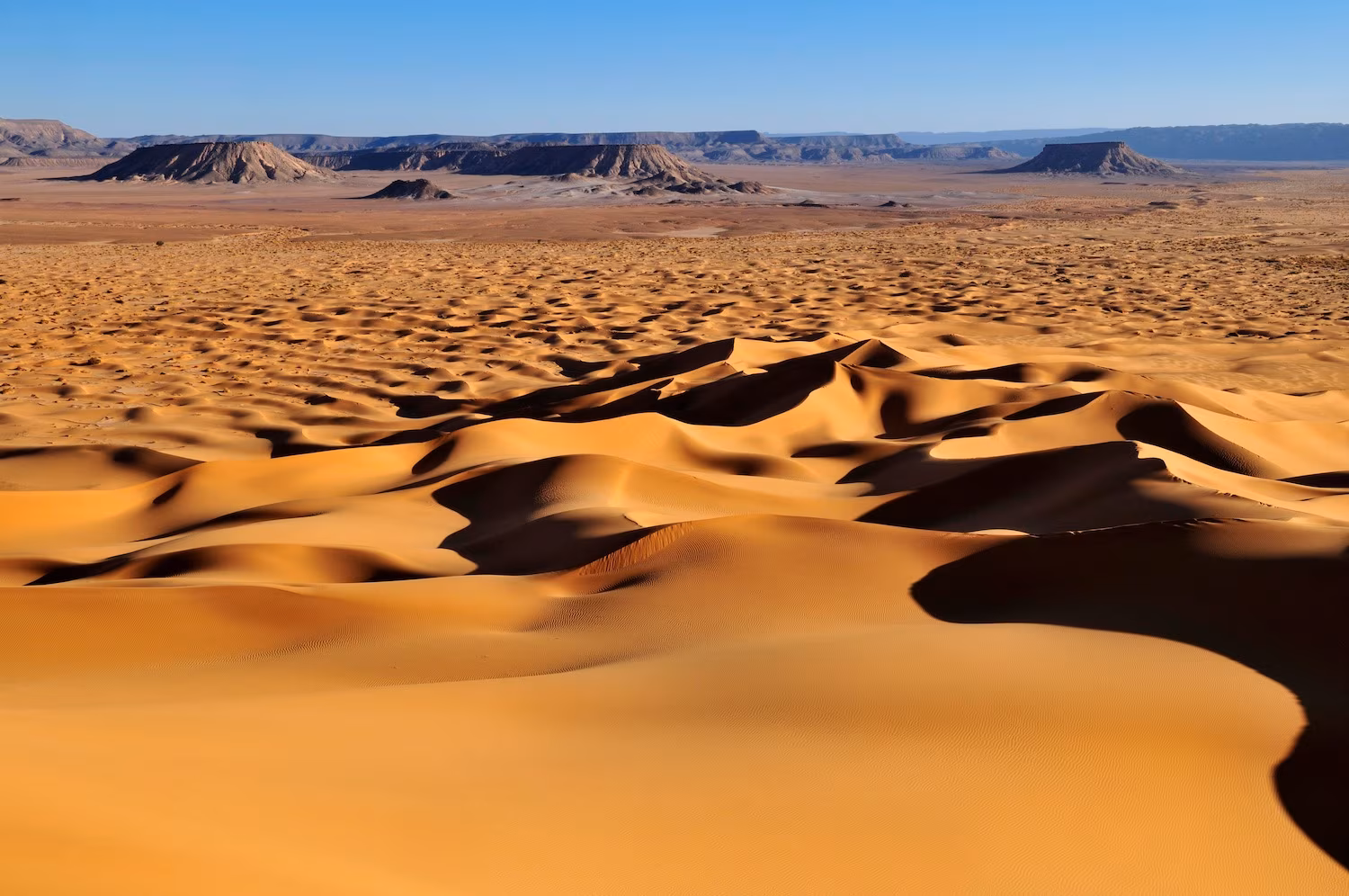 Magia inesperada del Tassili N'Immidir