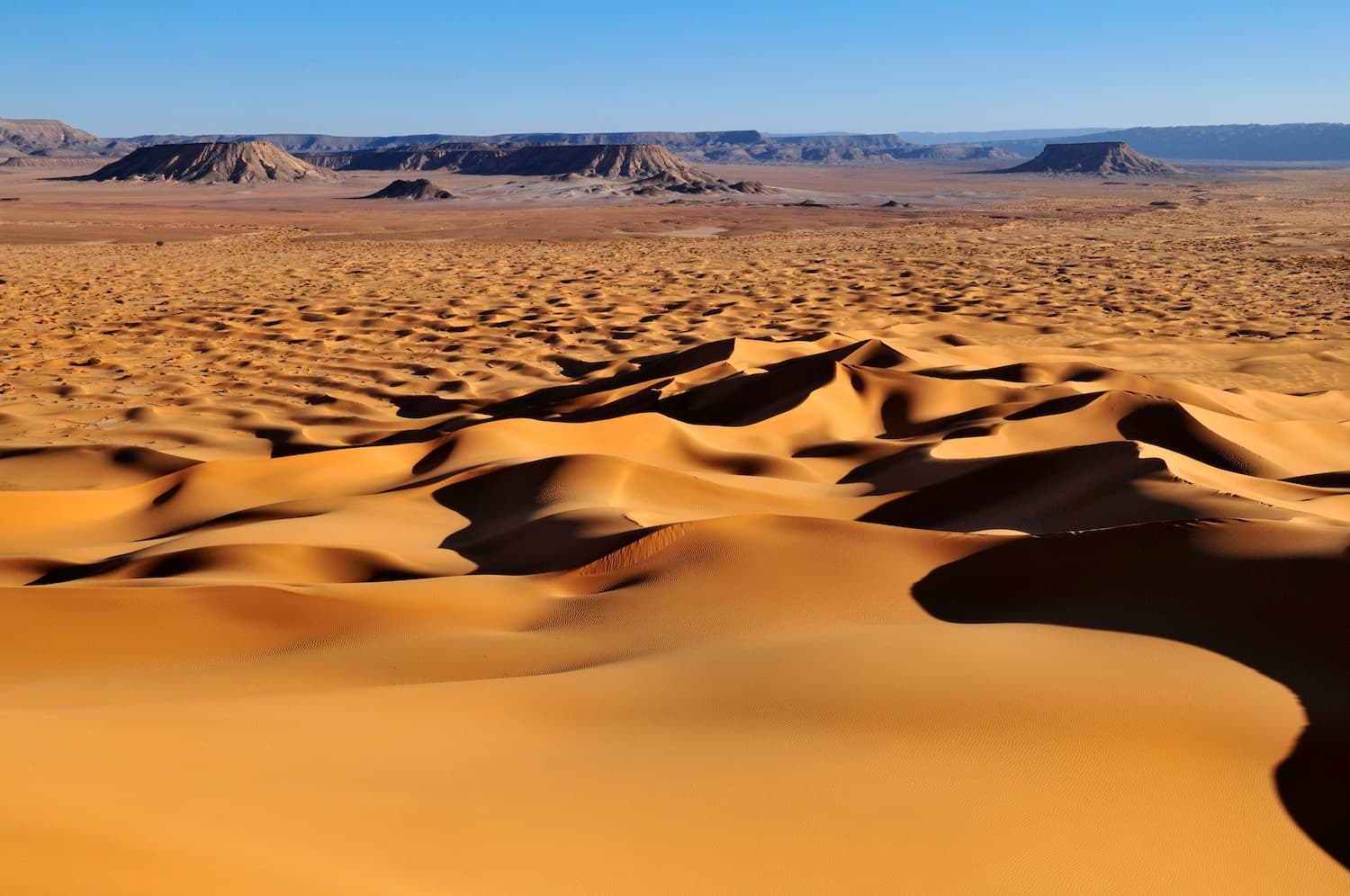 Magia inesperada del Tassili N'Immidir