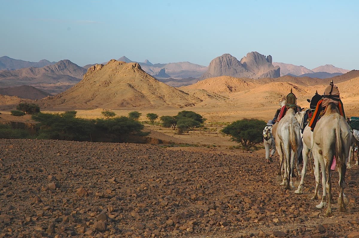 Caravana de camellos de Tamanrasset al Assekrem por el uadi Tanget y el Arechum