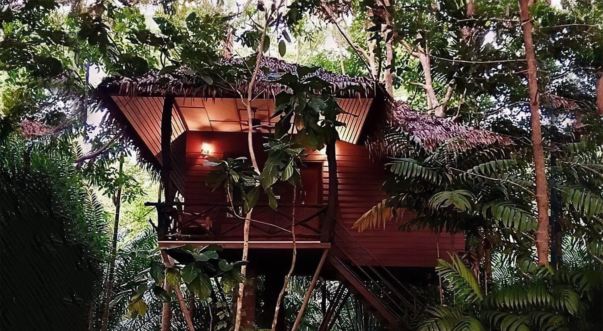 Standard Tree House