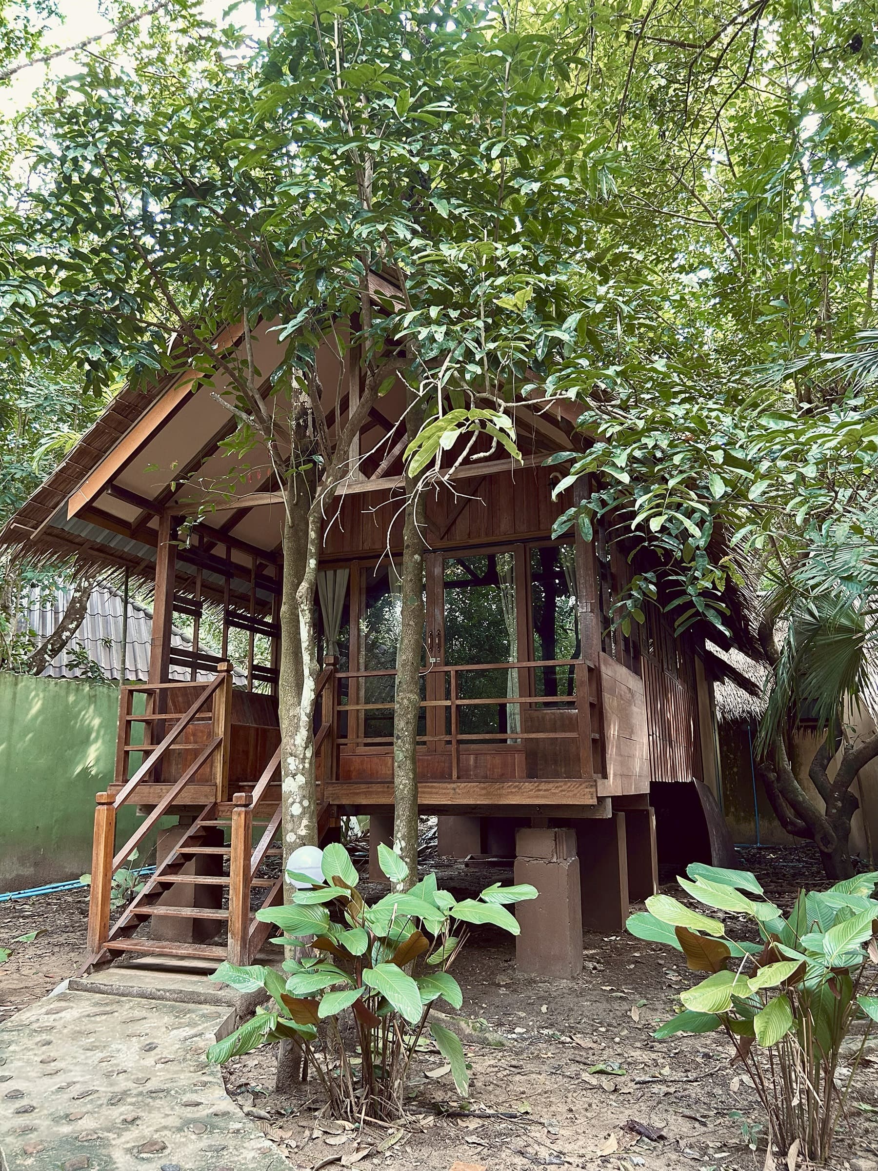 Jungle House