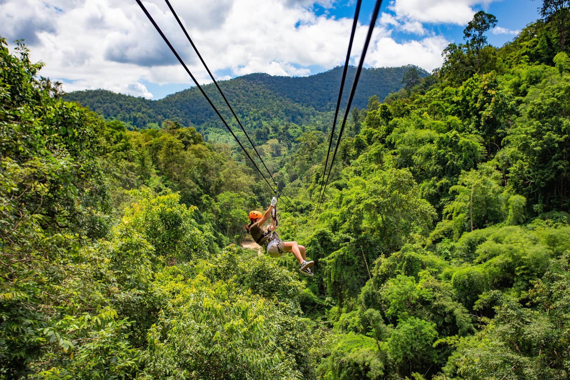 zipline 1