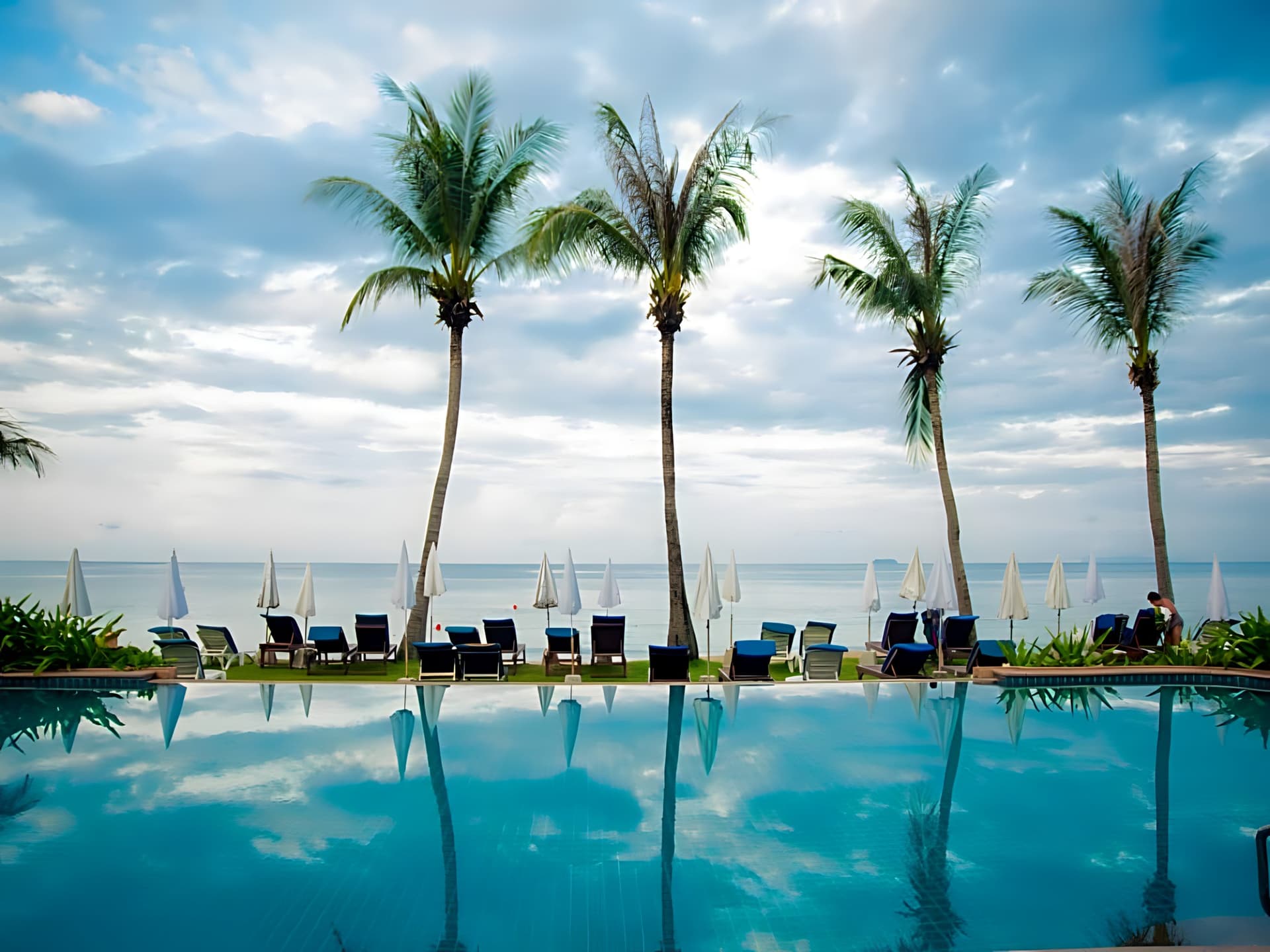 Lanta Casuarina
