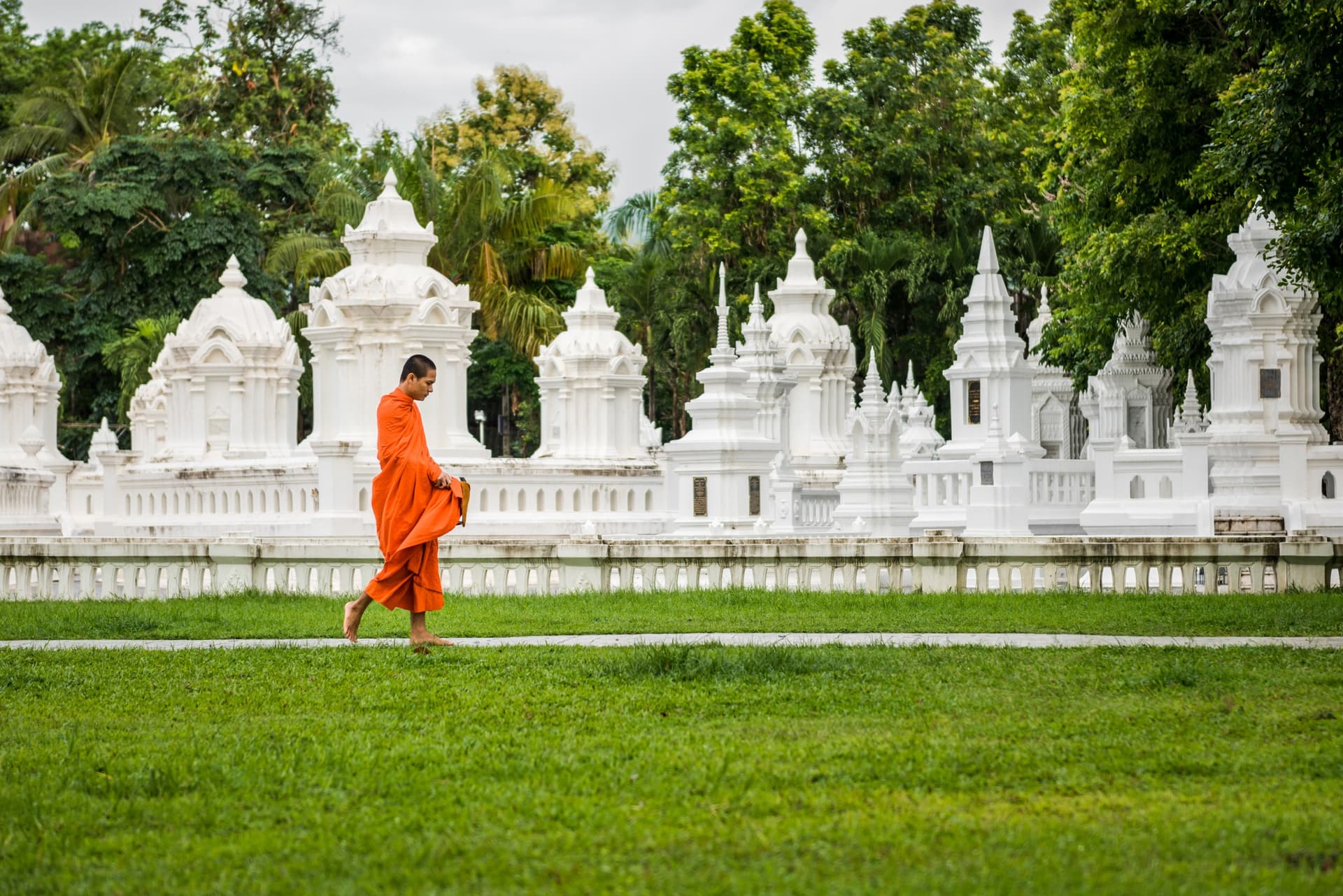 wat suan dok1