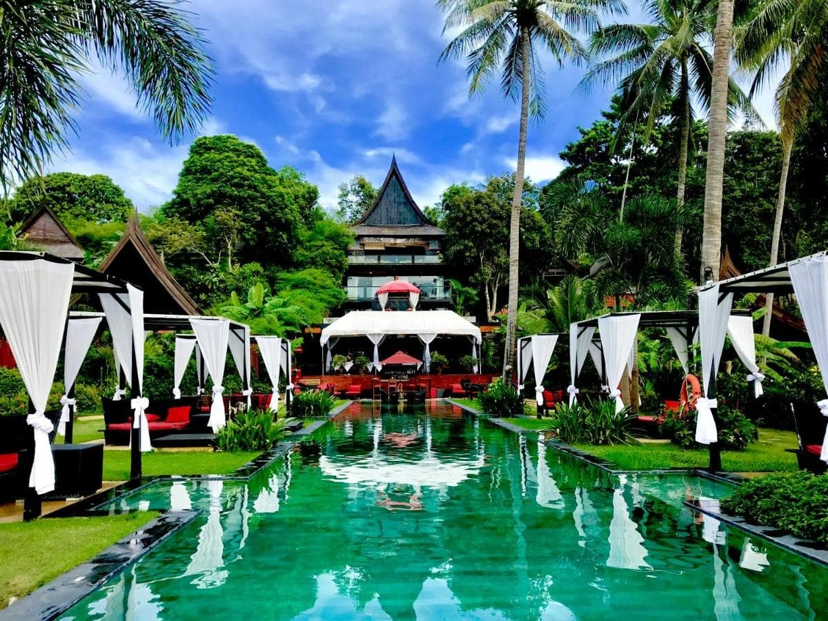 Kupu Kupu Phangan