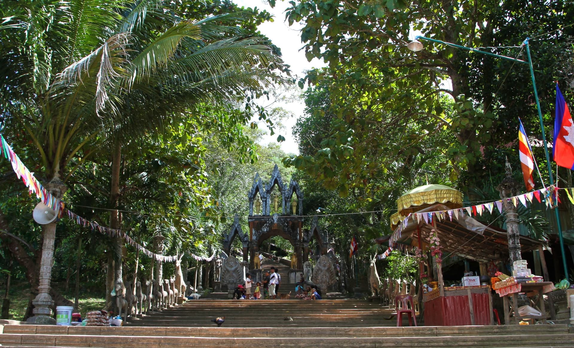 Centro de Angkor para la Protección de la Biodiversidad
