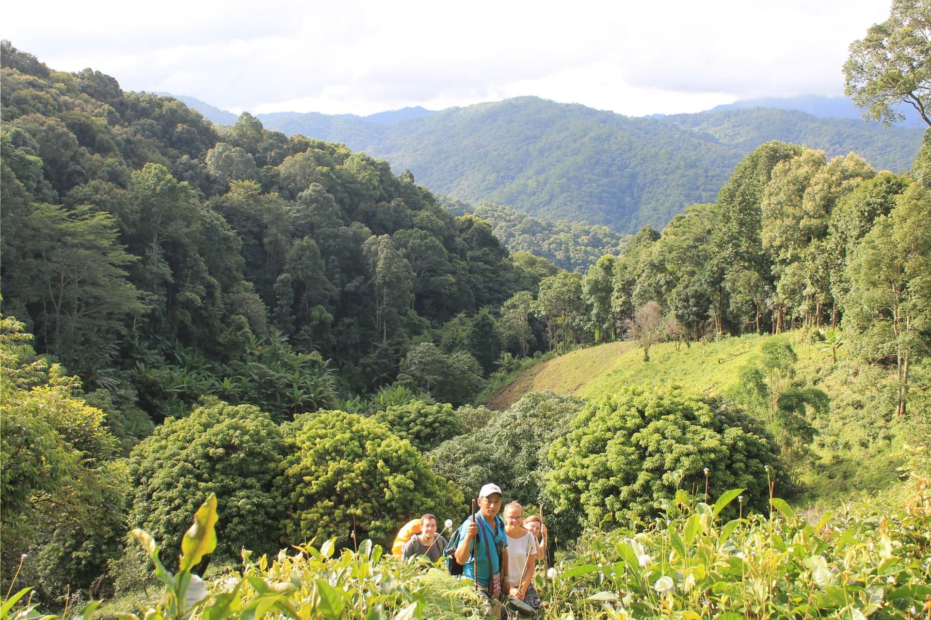doi inthanon hilltribe trek