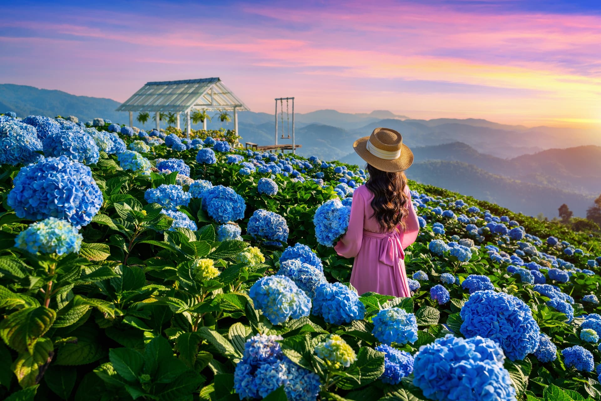 Chiang Mai o Chiang Rai: ¿cuál elegir?