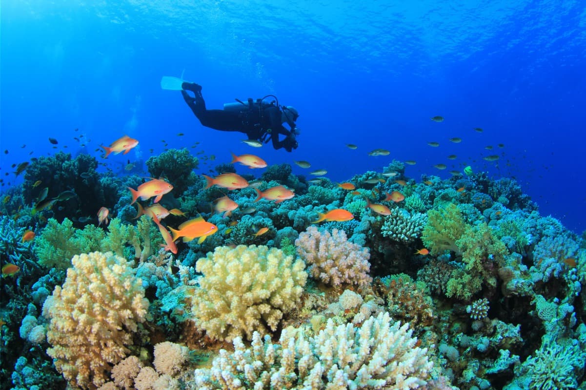 Los mejores spots de buceo en Tailandia