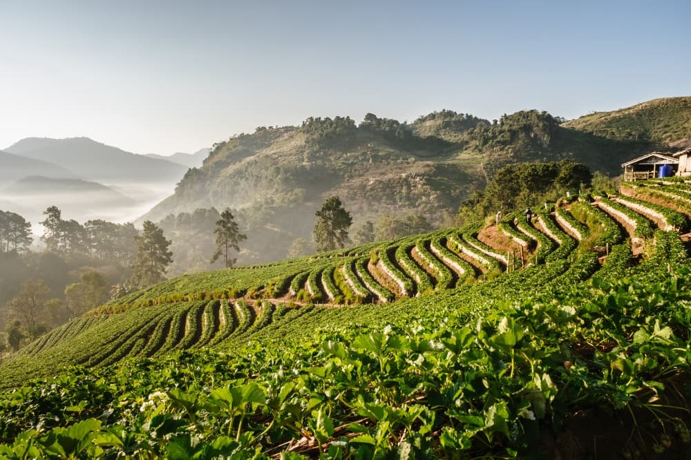 El Macizo Doi Ang Khang