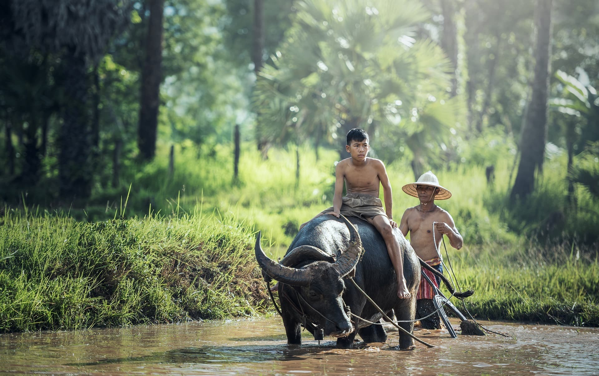 Tailandia de Otra Manera
