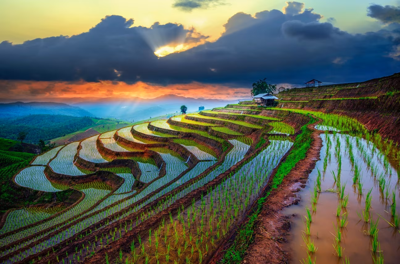 Tailandia en verano