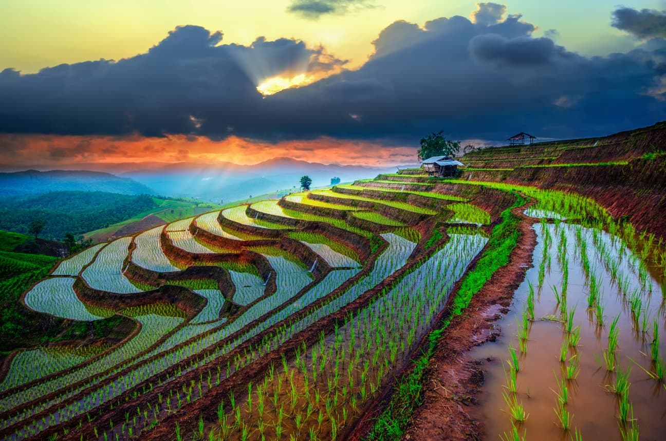 Tailandia en verano